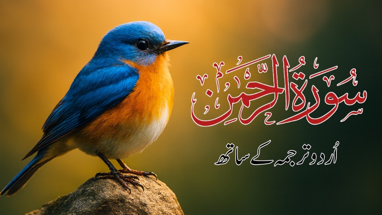 Surah Rahman | Surah Rahman with Urdu Translation | Al Furqan Studio | EP104