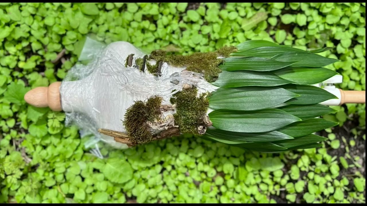 Moss Garden design ideas  on dress.