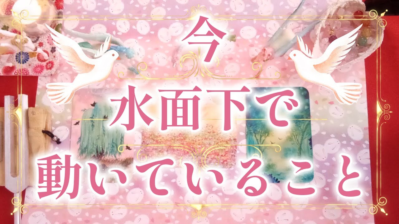 218.eriko耳olacle👼「今、水面下で動いていること」⤴️🌈希望のメッセージ🌟〇さんの高次元からの言葉は号泣でした😭💖　深い癒しが届きます🍀💐❤️🌸🎁🦄