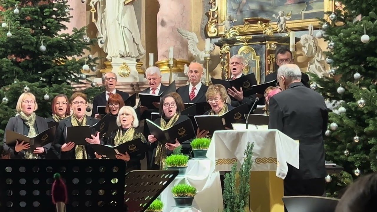 MPZ LIRA Lipovljani- Gloria, gloria    28 12 2025