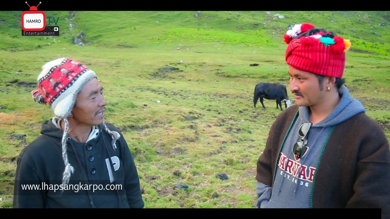 CHAURI GOTH ब्यवसायिक चौरी गोठालो Sonam Lama  HAMRO TV