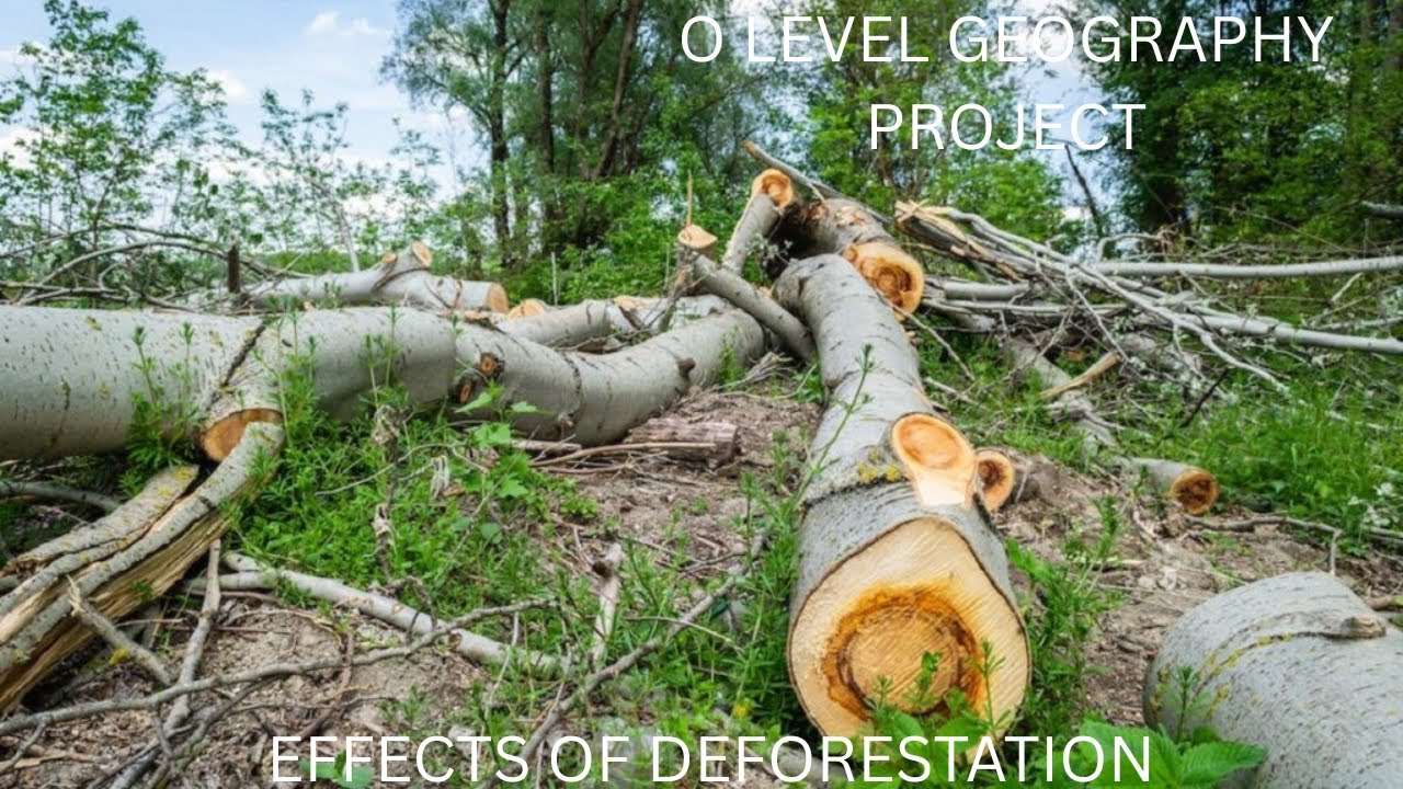 O Level Geography Project 