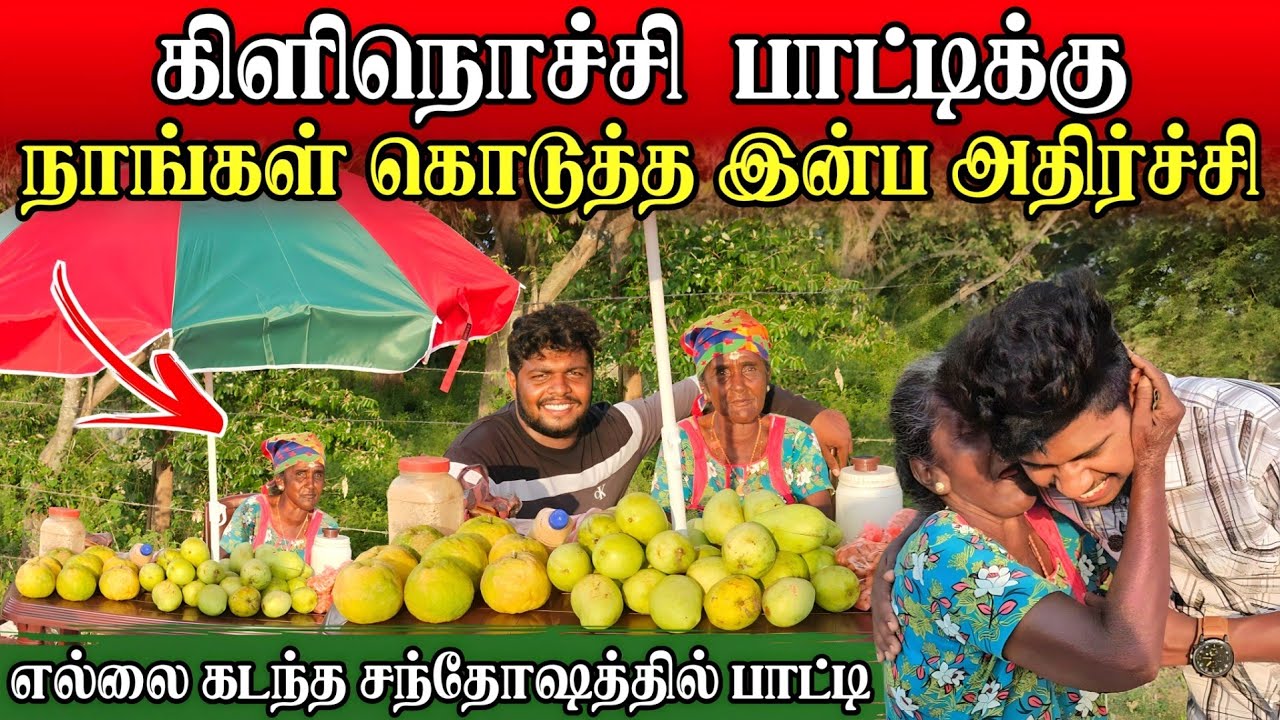 பாட்டியை நிழலில் வைத்து விட்டோம் | எதிர்பாராத இன்ப அதிர்ச்சி | Rj Tamizha