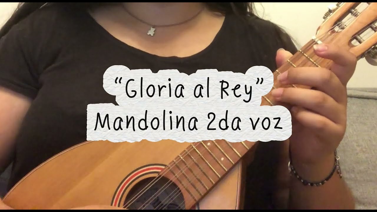 Gloria al Rey - Mandolina (A pasos agigantados) 