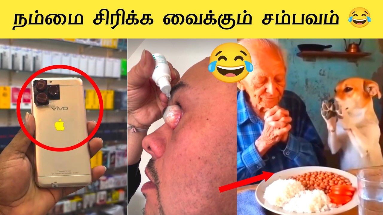 2026ல் நடந்த சிறந்த விலங்கு காமெடி சம்பவங்கள் 🤣 | Ultimate Funny Animals Tamil 🤣