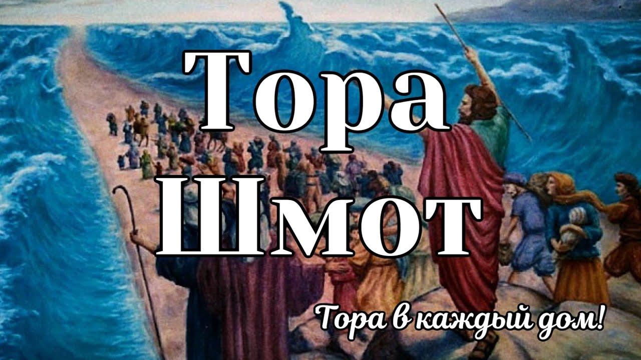 Книга Шмот Аудио