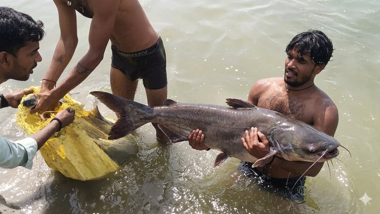 Take a dip in the river and see with your hands how big fish are caught #realfishingLife #viral 