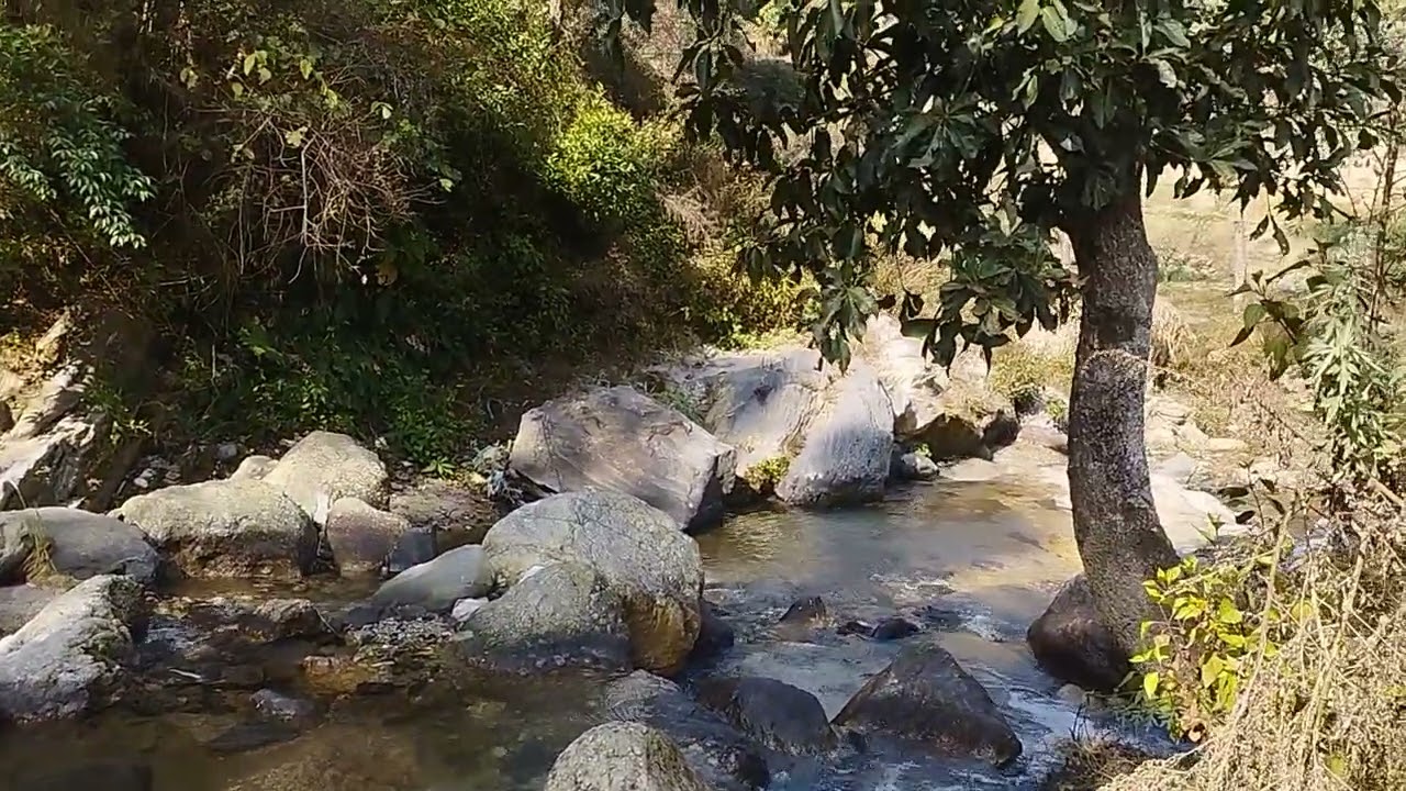 Beautiful river walking side
