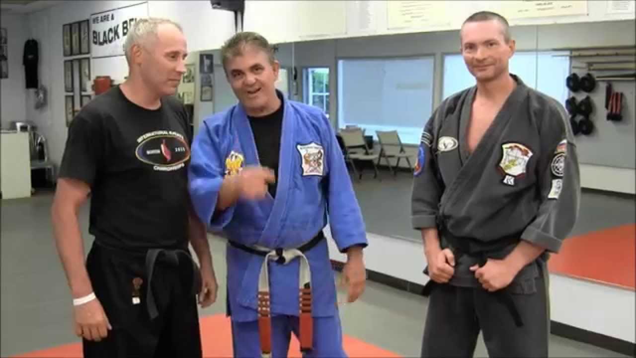 Master Mohamad Tabatabai - Glancing Wing - Technique Breakdown