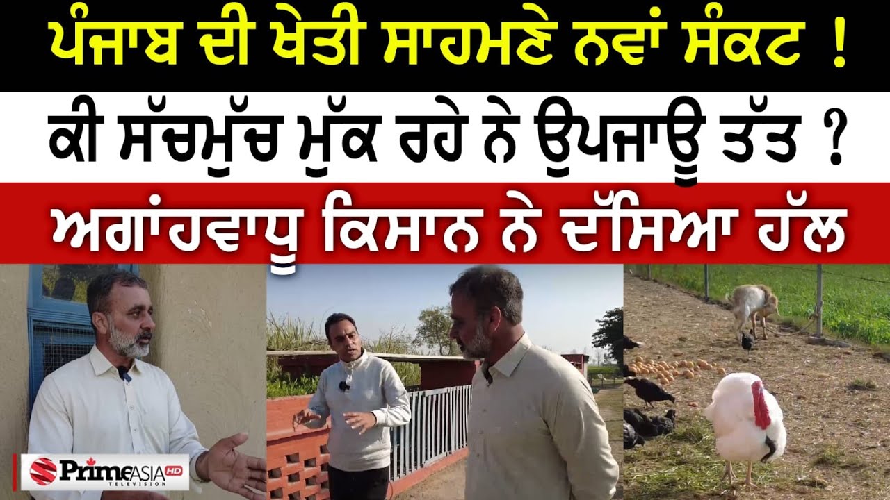 Prime Time With Parmvir Baath (1338) || ਪੰਜਾਬ ਦੀ ਖੇਤੀ ਸਾਹਮਣੇ ਨਵਾਂ ਸੰਕਟ-ਅਗਾਂਹਵਾਧੂ ਕਿਸਾਨ ਨੇ ਦੱਸਿਆ ਹੱਲ
