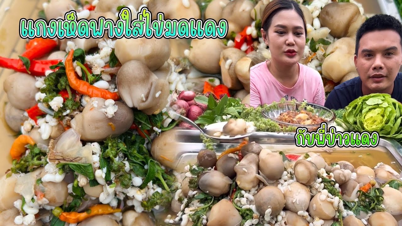 แกงเห็ดฟางใส่ไข่มดแดง หอมผักคุณตู่ เห็ดมีแต่ดอกไข่ๆ ซดร้อนๆแซ่บมาก |พากินพาแซ่บ