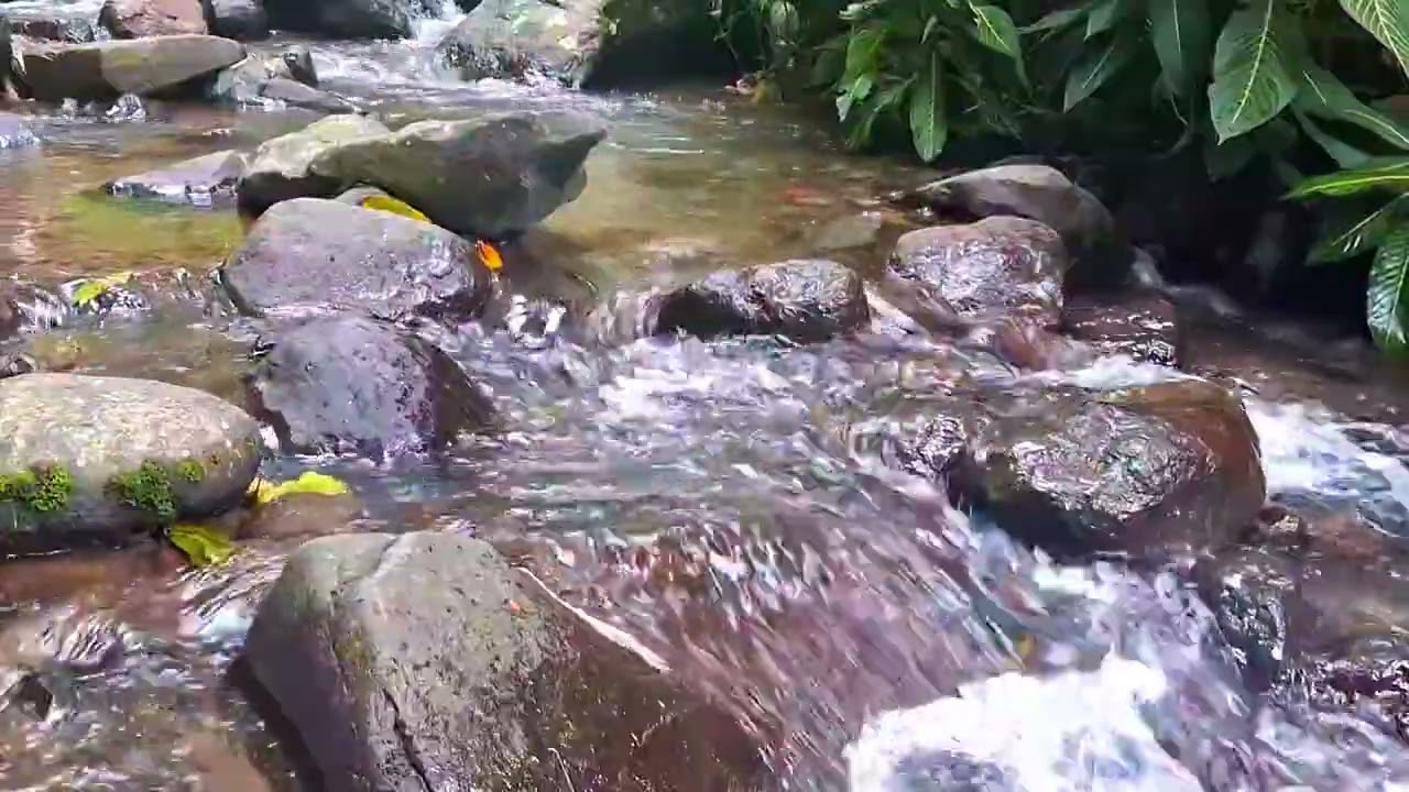 Calm River Ambience for Sleep Support