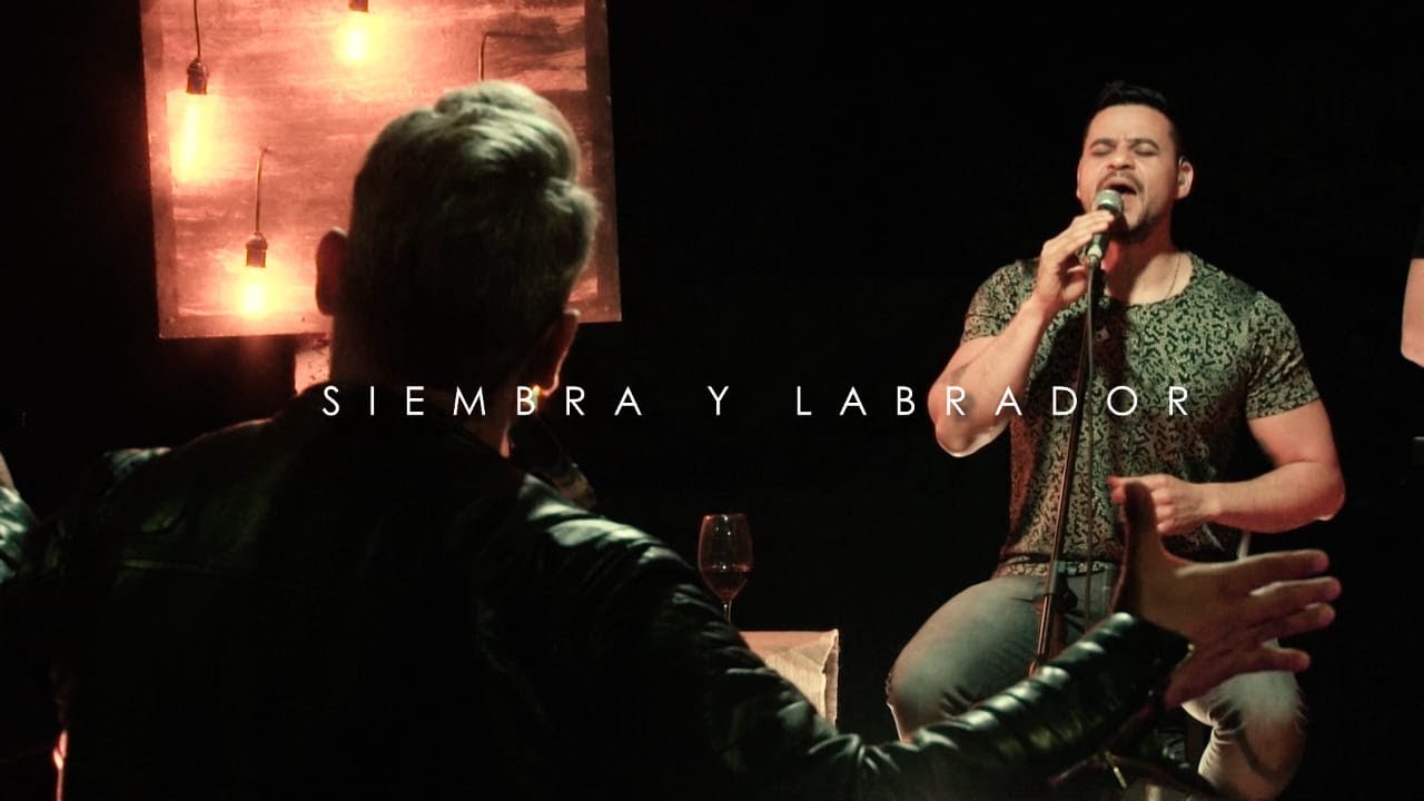 Siembra y labrador - La Junta / En vivo
