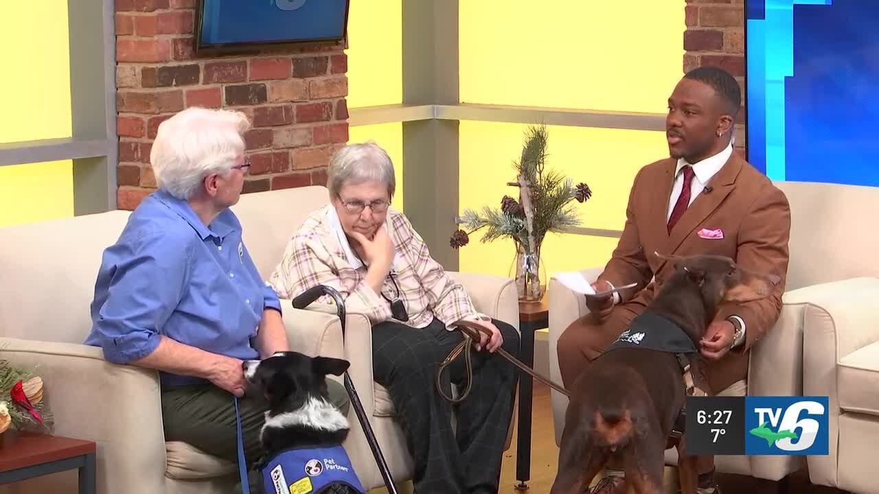 TV6 Morning News - Superiorland Pet Partners