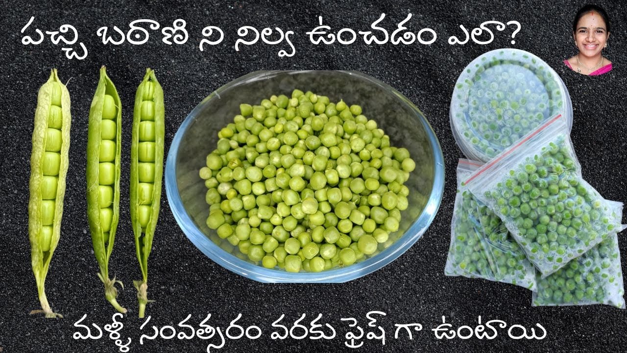How to store pachi batani in telugu || పచ్చి బఠాణి ని ఎలా నిల్వ ఉంచాలి || Green peas storage telugu