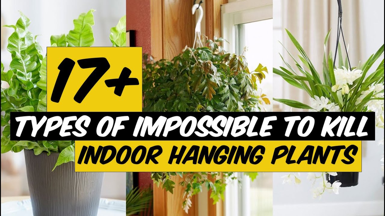 20 Types of Impossible to Kill Indoor Hanging Plants - The Planet of Greens