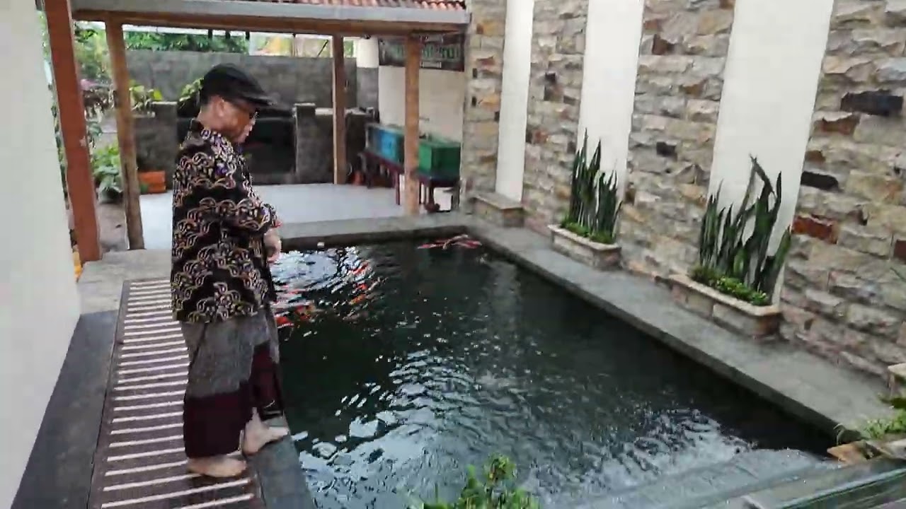 Pagi cerah bersama Rumah koi jember