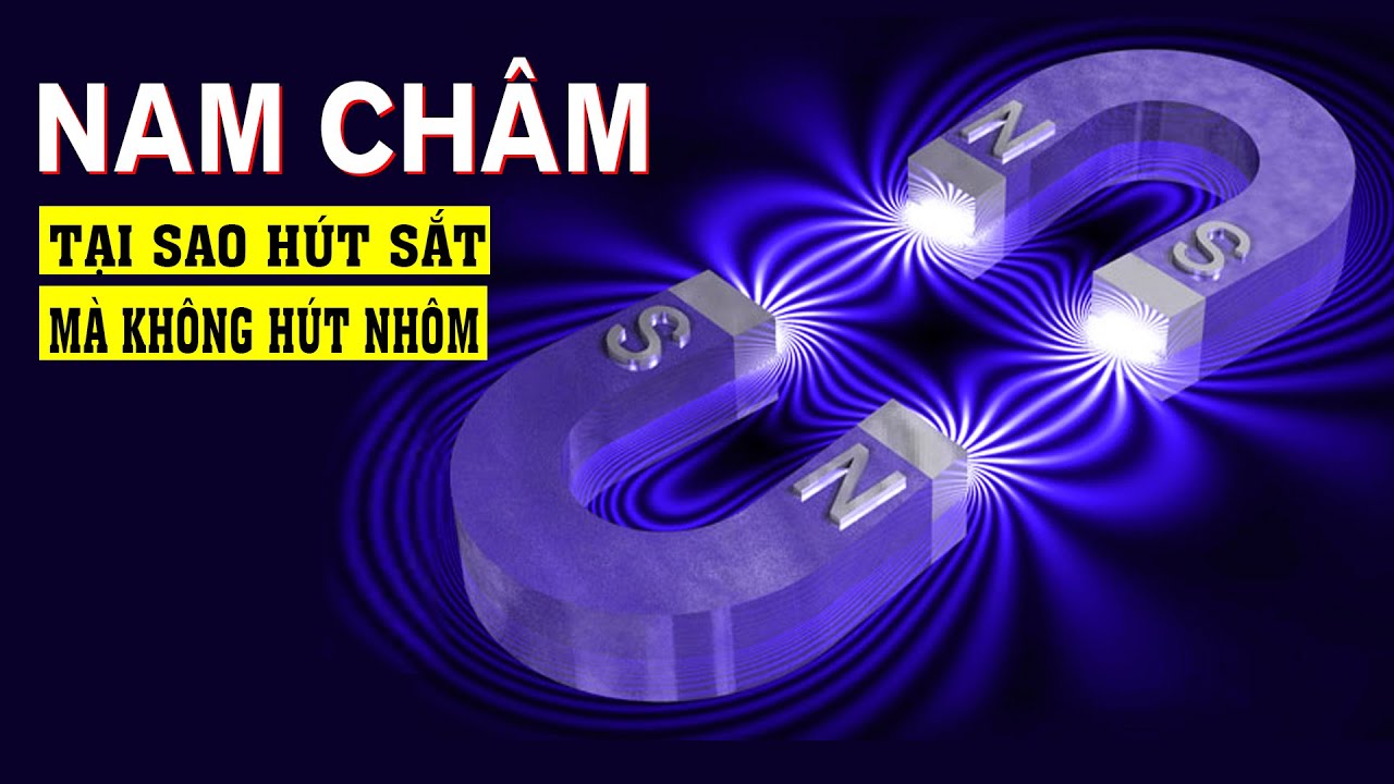 Tại sao Nam Châm chỉ hút sắt mà không hút Nhôm?