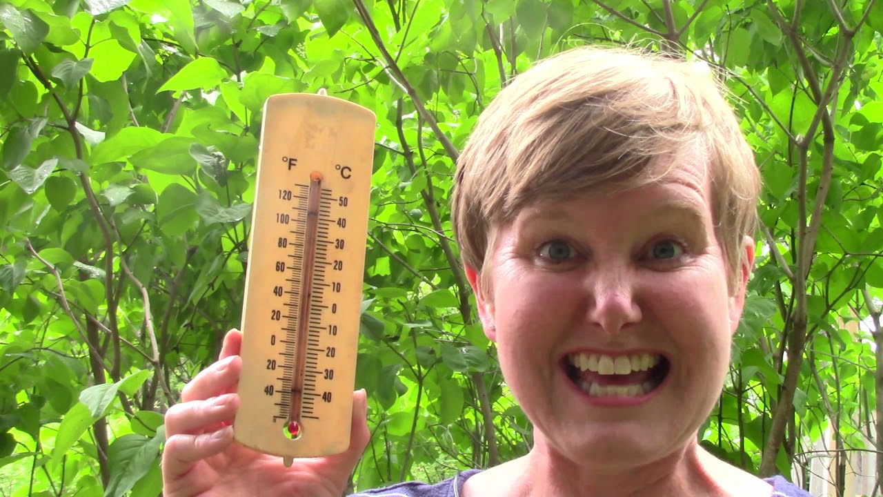 Grade 2: Math Lesson #26a Reading a Thermometer to the Nearest Ten Degrees