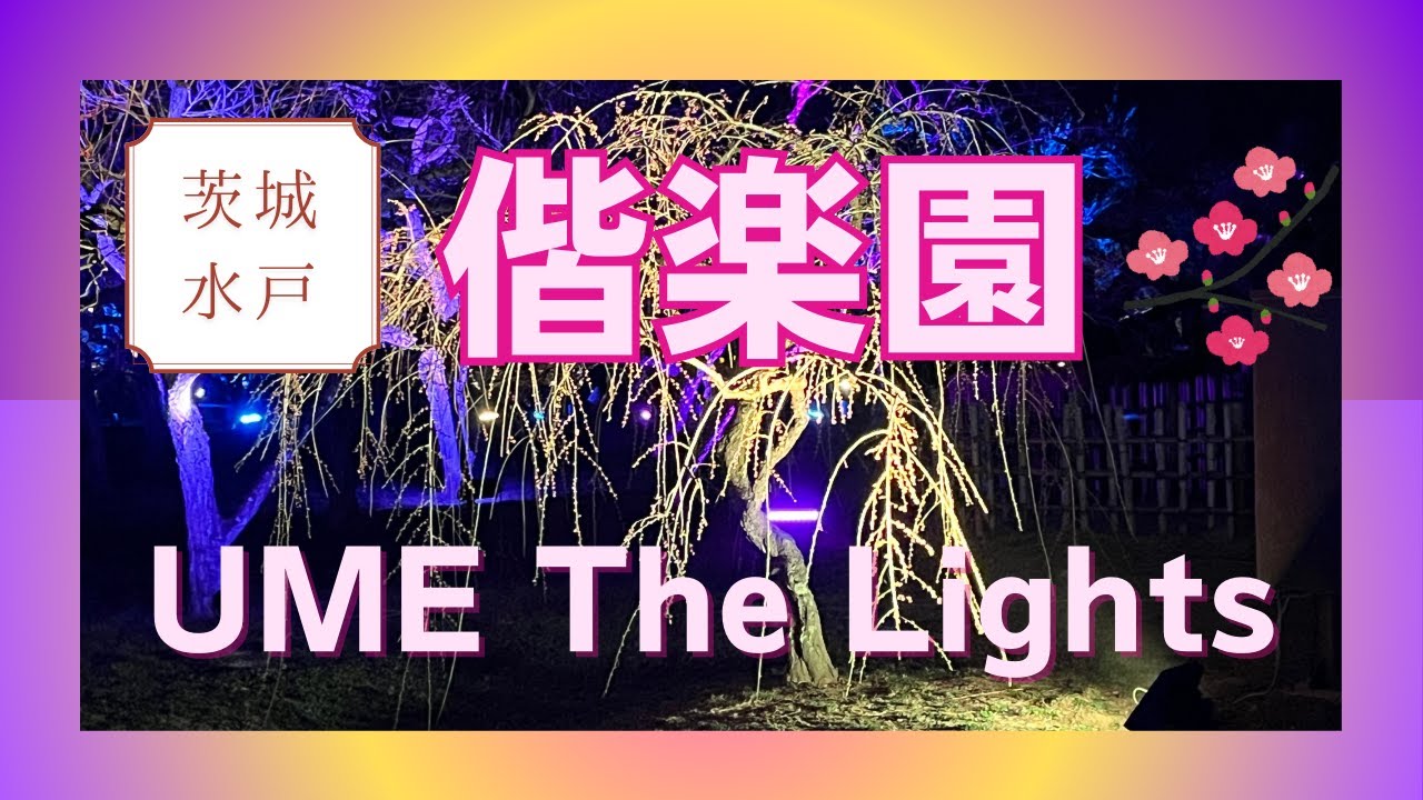 偕楽園「UME The Lights」ライトアップされた梅の木は幻想的/孟宗竹林での演出はかぐや姫のストーリーを感じさせる！？/樹齢800年の太郎杉は圧巻