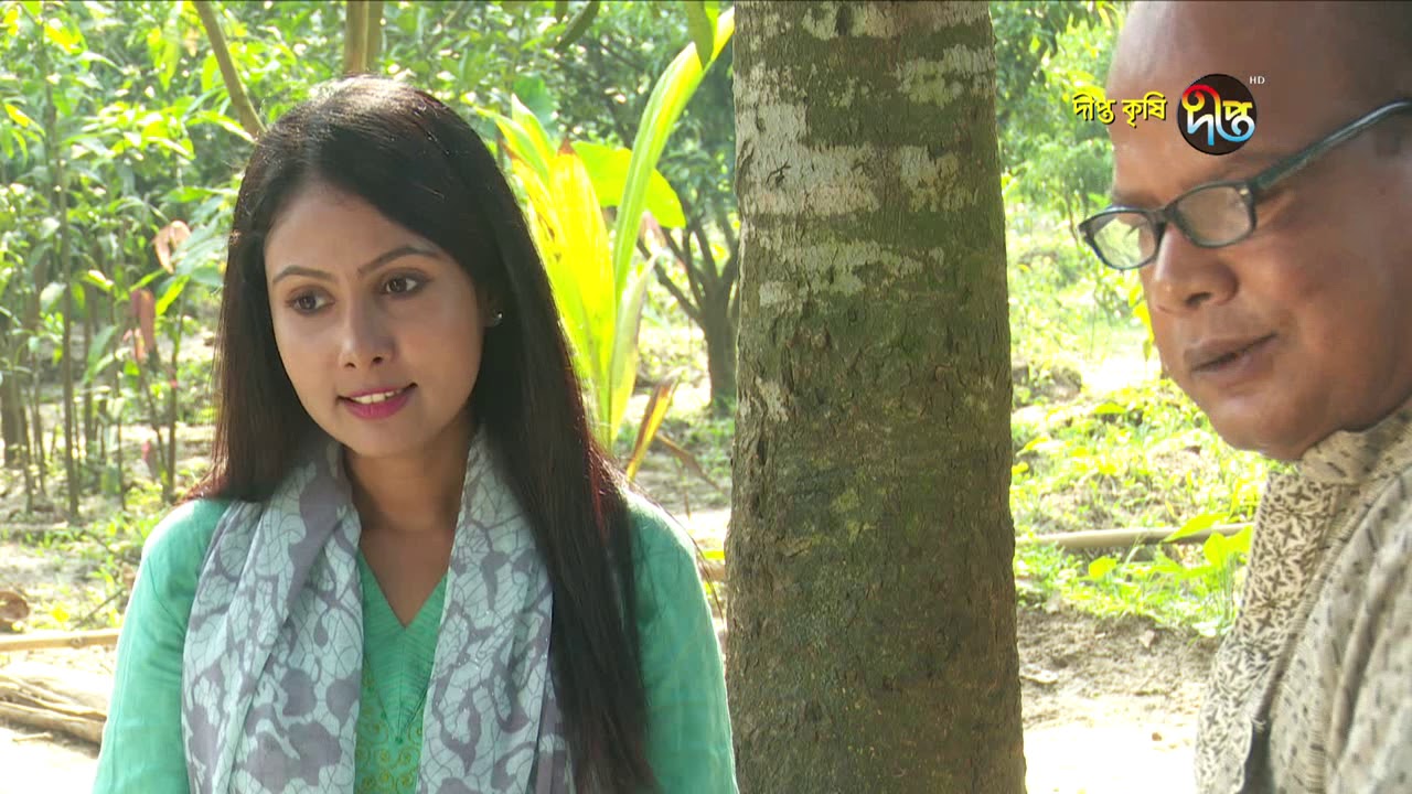 Deepto Krishi/দীপ্ত কৃষি -মাল্টার চাষ (ফলো-আপ)/ময়মনসিংহ, পর্ব ৩৫৪