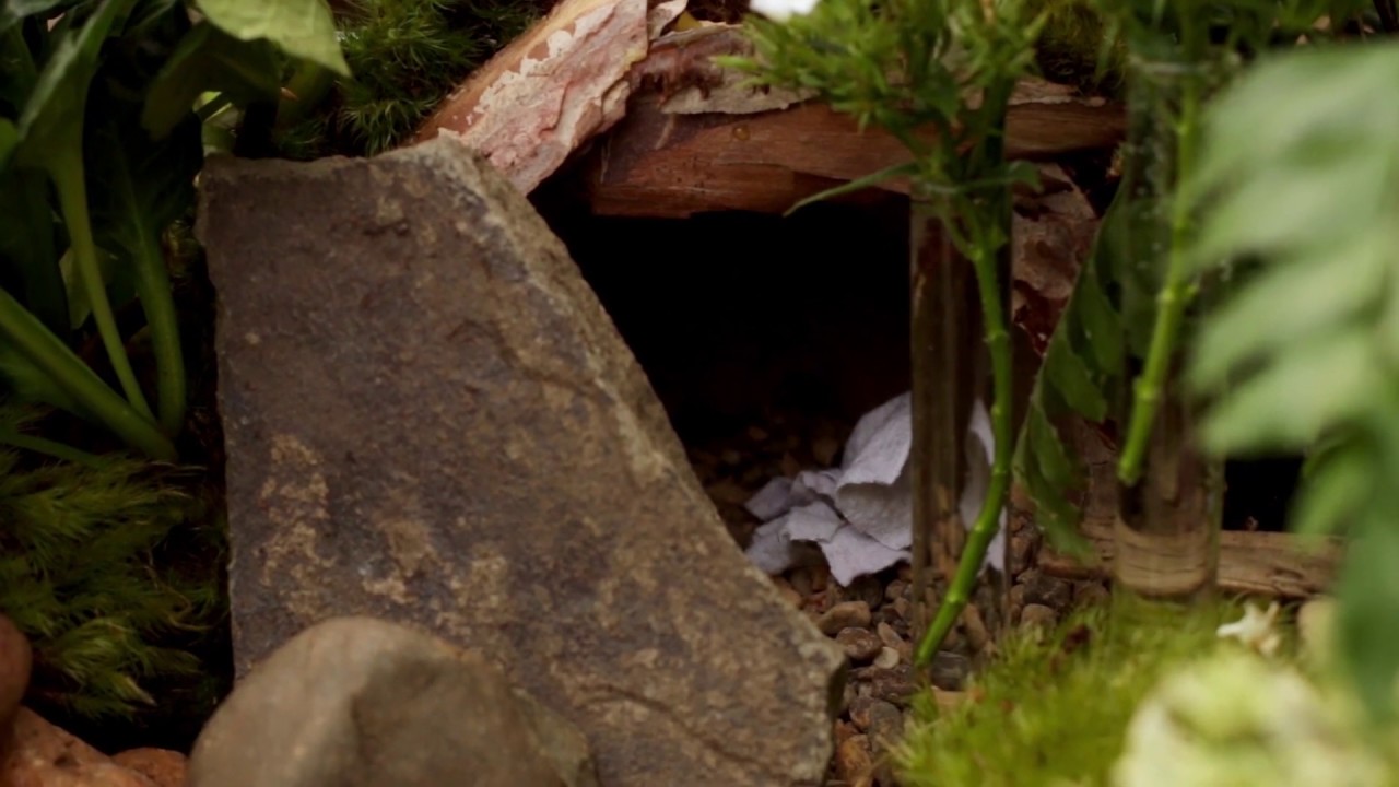 How To Build A Resurrection Garden