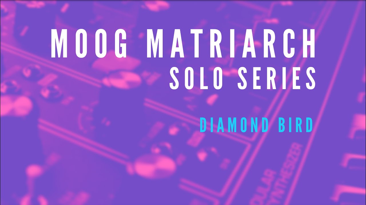 Moog Matriarch Solo Series - Diamond Bird