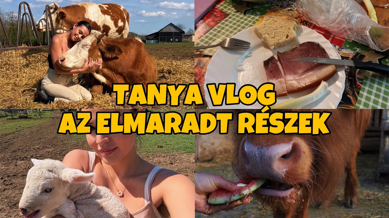 TANYA TOUR VIDEO| Willyvel elköltöztünk📦🚛