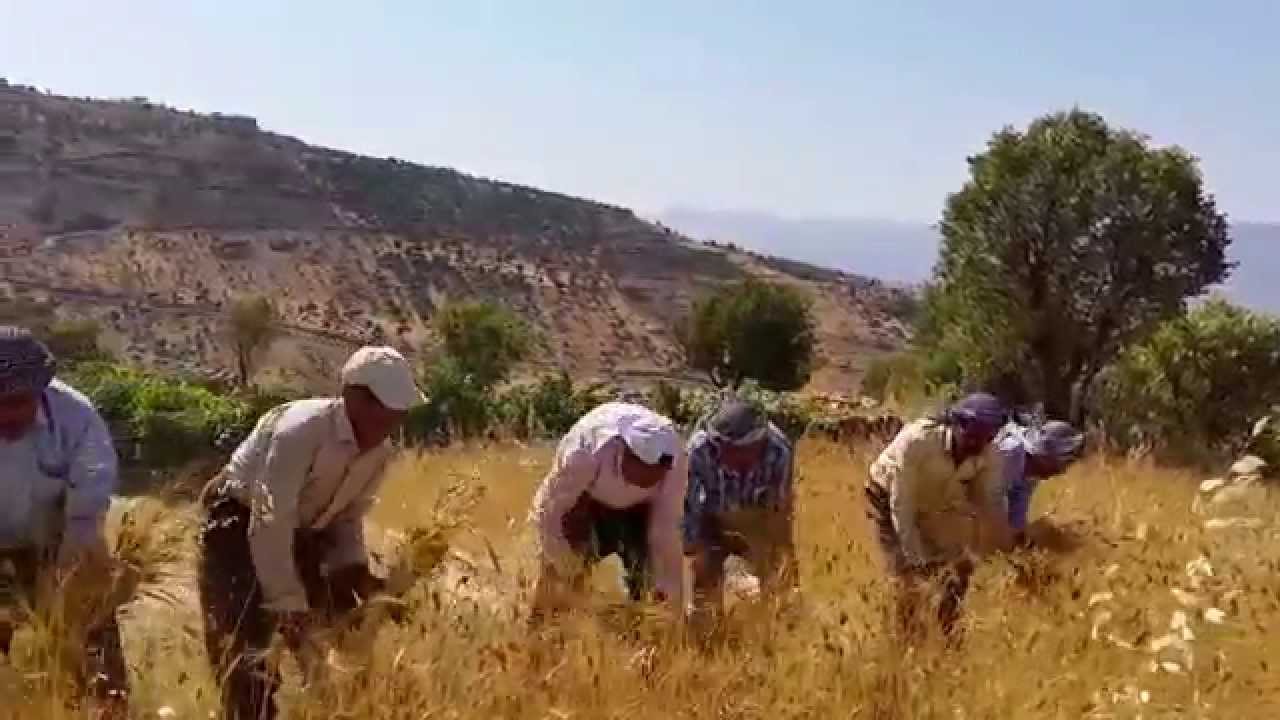 Şırnak dengbejleri dürün 2