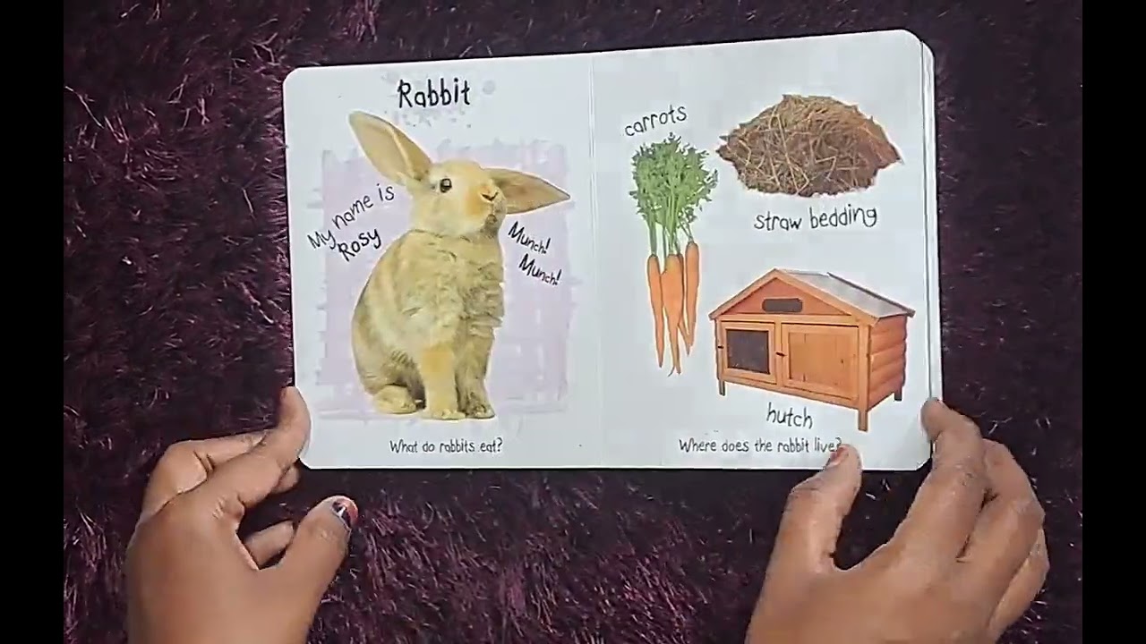 First Pets-₹139-UsedBook #prelovedbooks #kidsbooks #picturebooks #petanimals #aboutpets #easywords