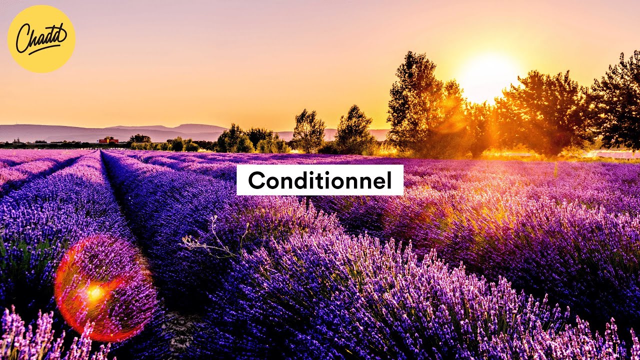 De Conditionnel - Mr. Chadd Academy