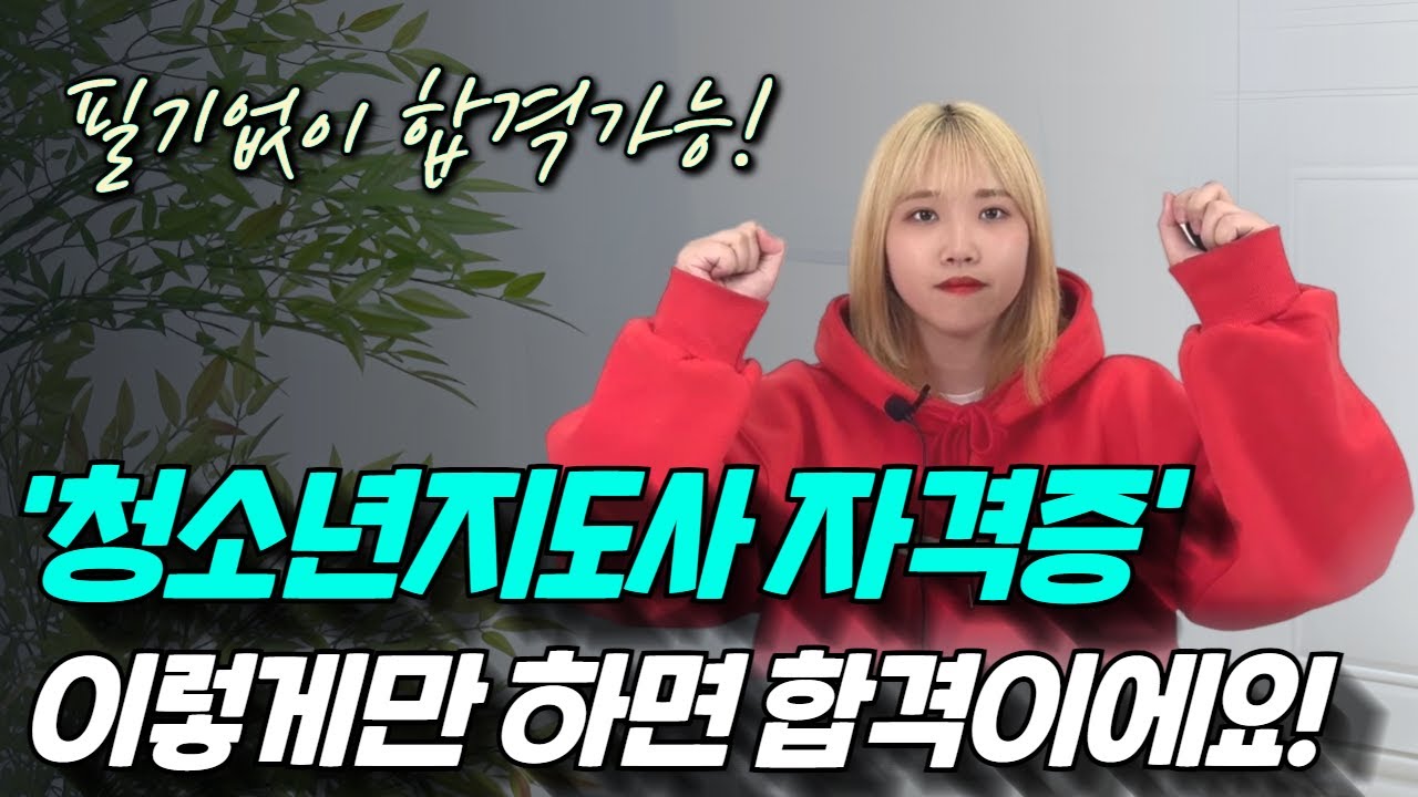 청소년지도사2급,3급 자격증 [응시자격, 필기면제, 면접, 연수, 학점은행제 활용 ]