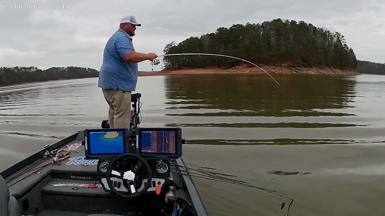 Allatoona hybrids 