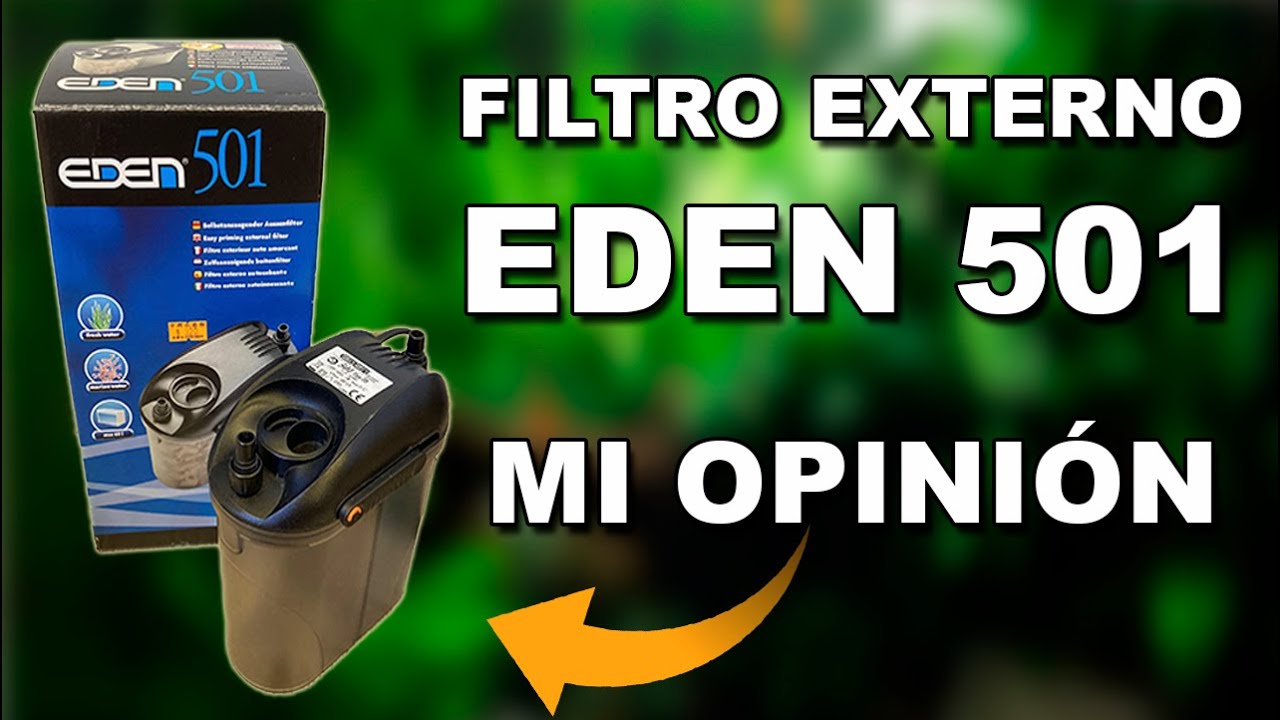 Eden 501: ¿Merece la pena este filtro? Mi opinión y experiencia