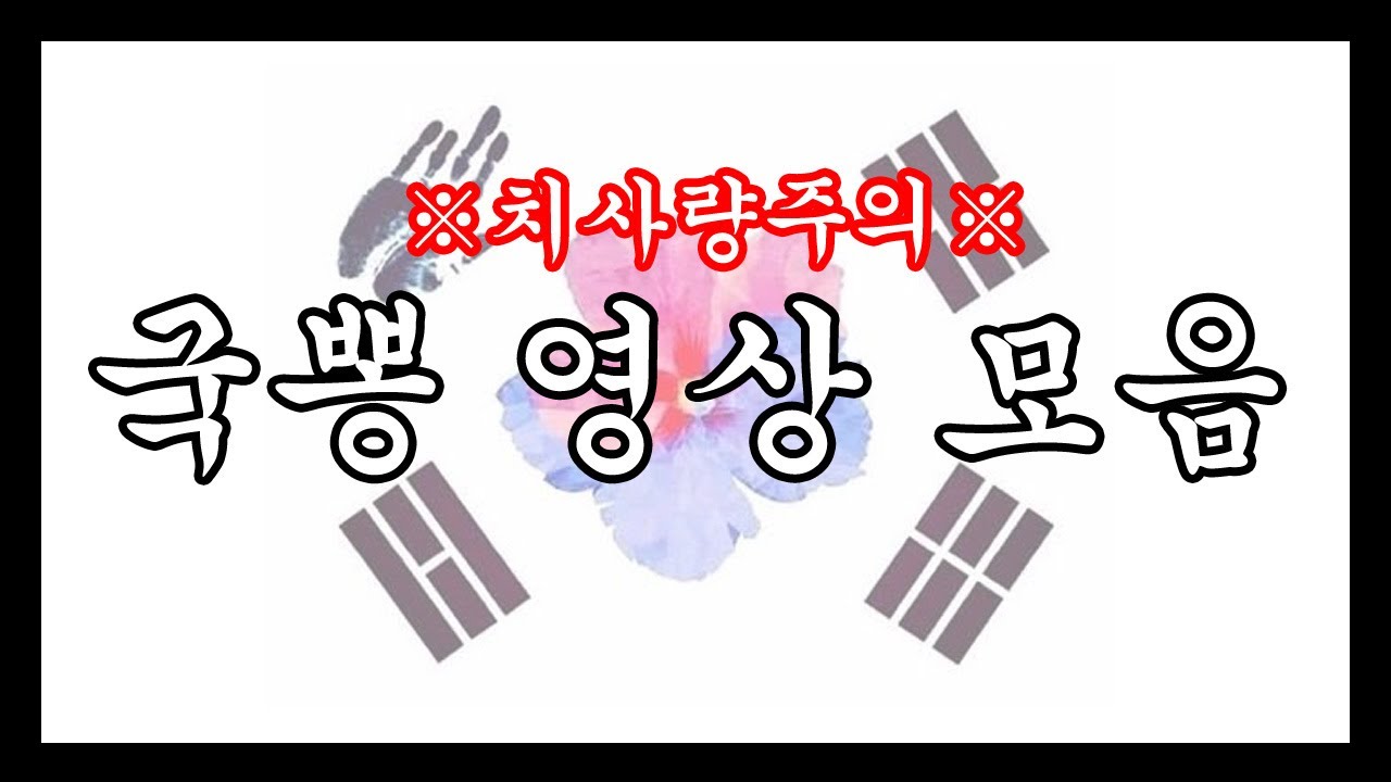※치사량 주의※ 국뽕 영상 모음