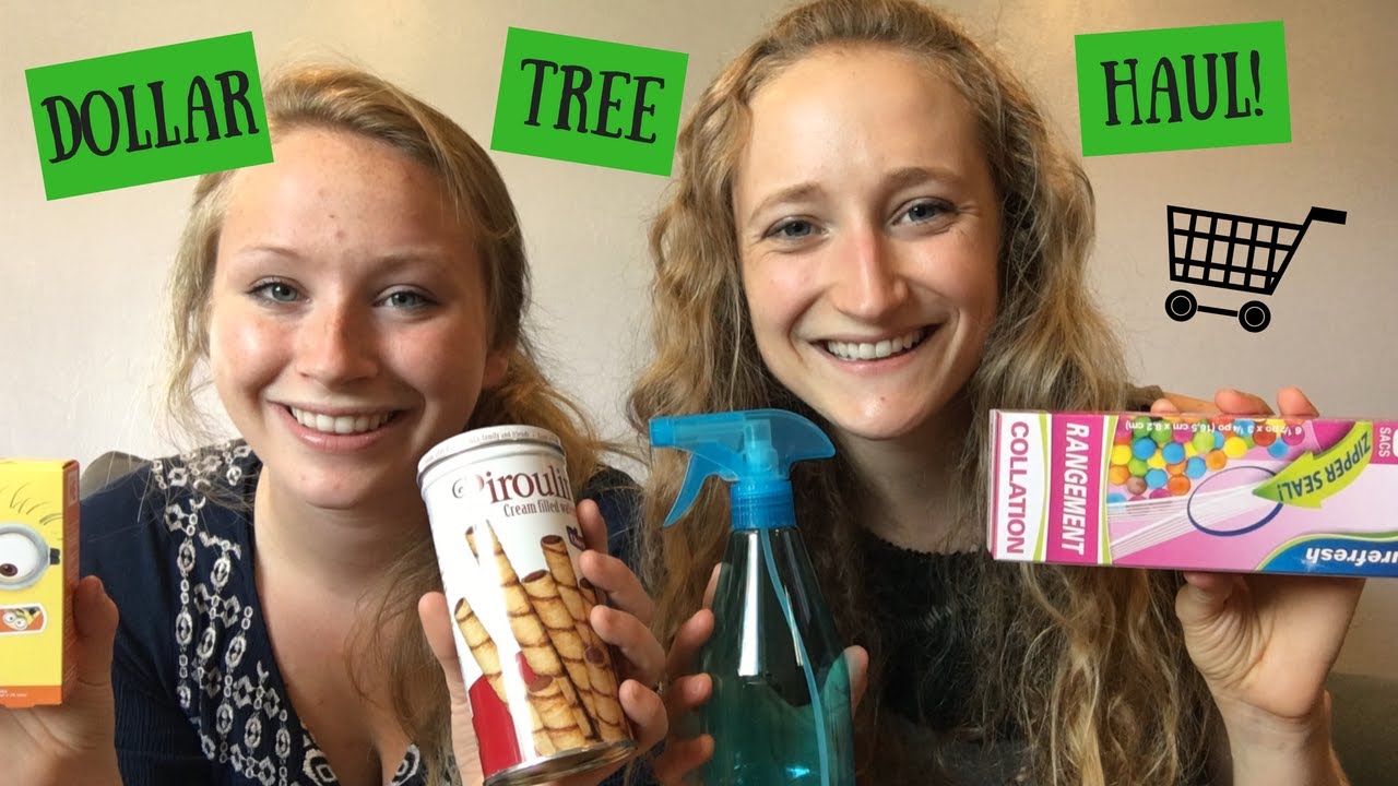 Dollar Tree Haul! June 2017
