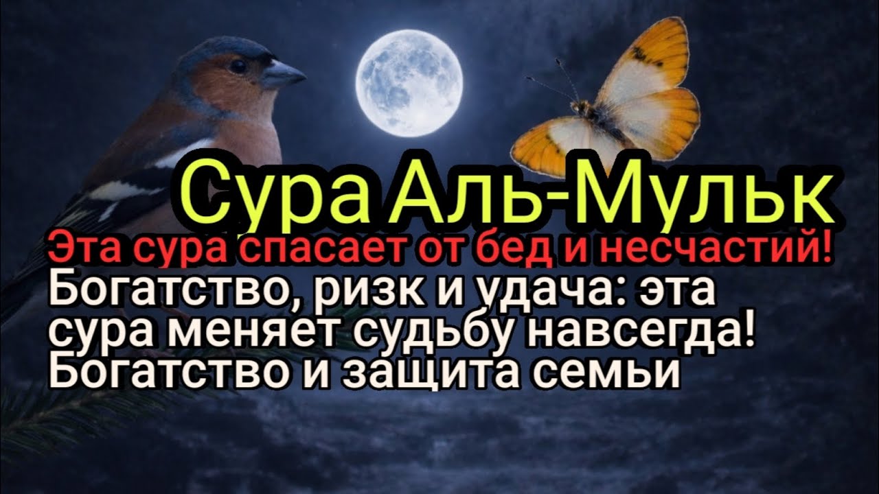 Богатство и безопасность: эта сура защищает детей и семью от зла!.