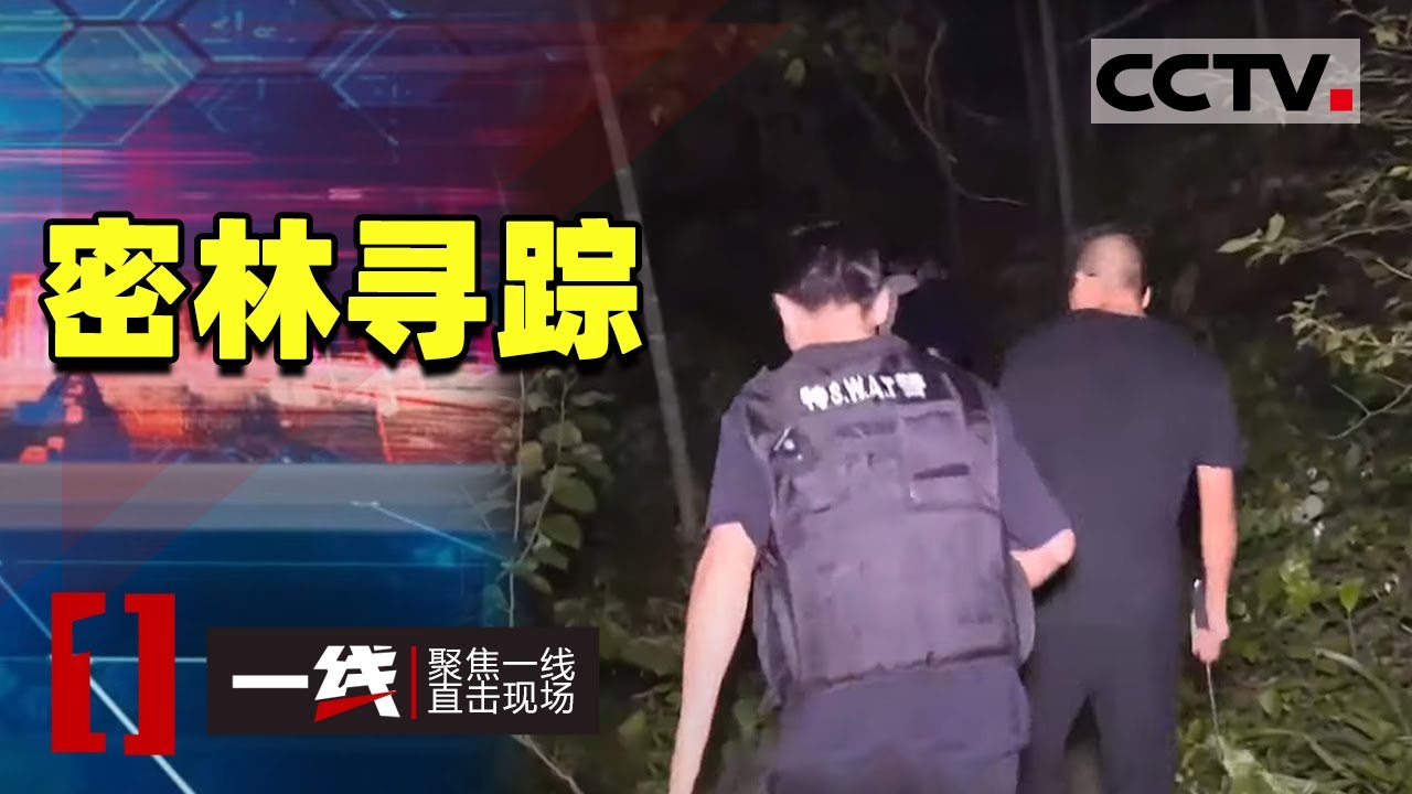 《一线》大逃亡！嫌疑人打劫黄金店后逃亡山中 民警全警出动围捕！20201110 | CCTV社会与法