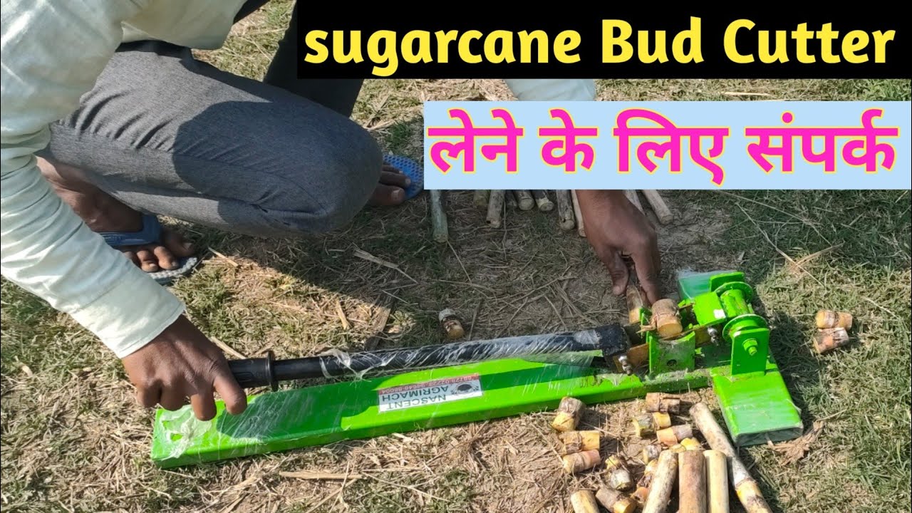 Sugarcane Bud Cutter machine  ||  गन्ने के बीज को काटने वाली मशीन गन्ना किसानों के लिए बनाई गई है