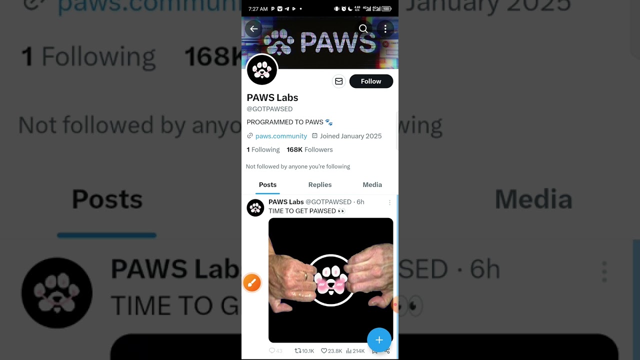 How To Complete Paws' New Task and Earn 5,000 Paws 🐾