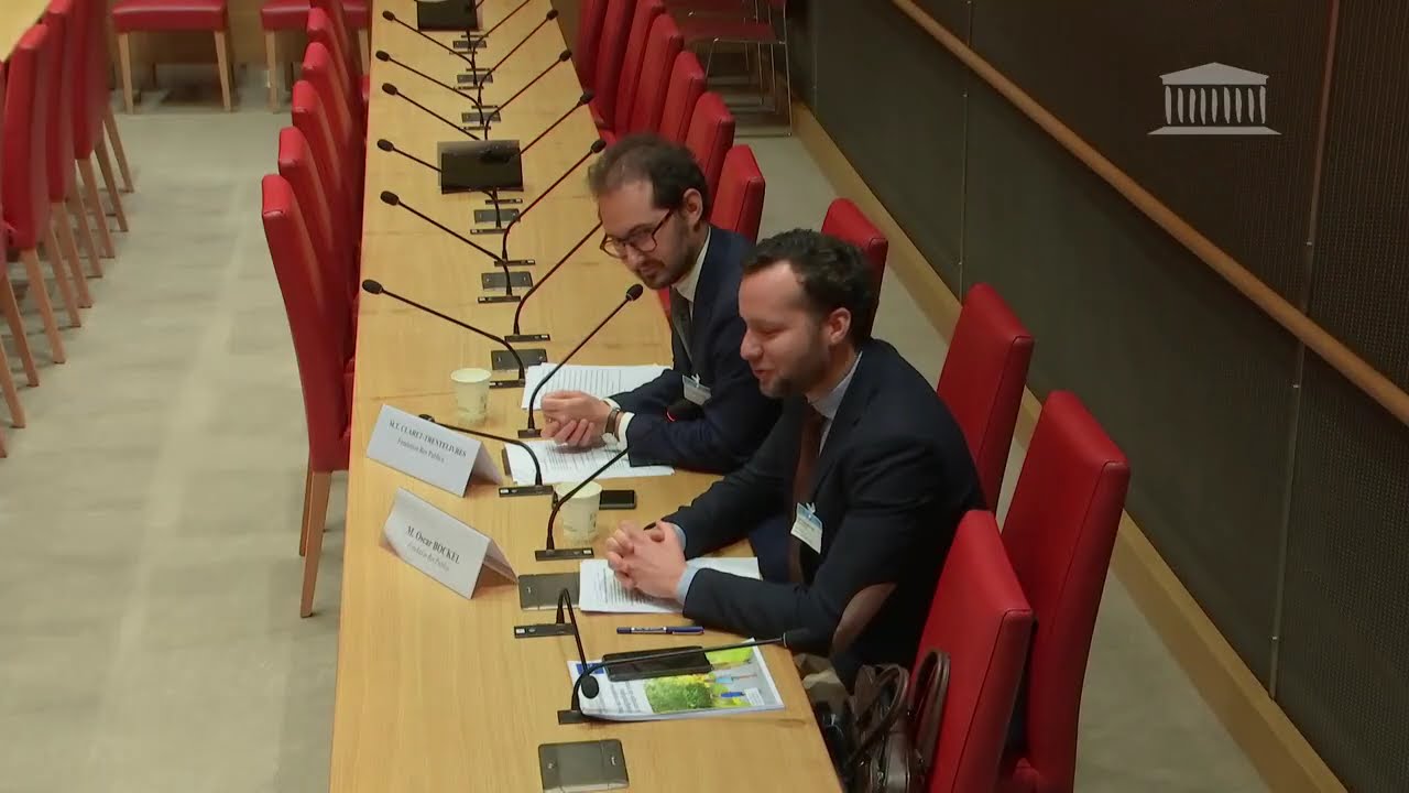 Politique nataliste : pour une stratégie du troisième enfant. Audition à l'Assemblée nationale