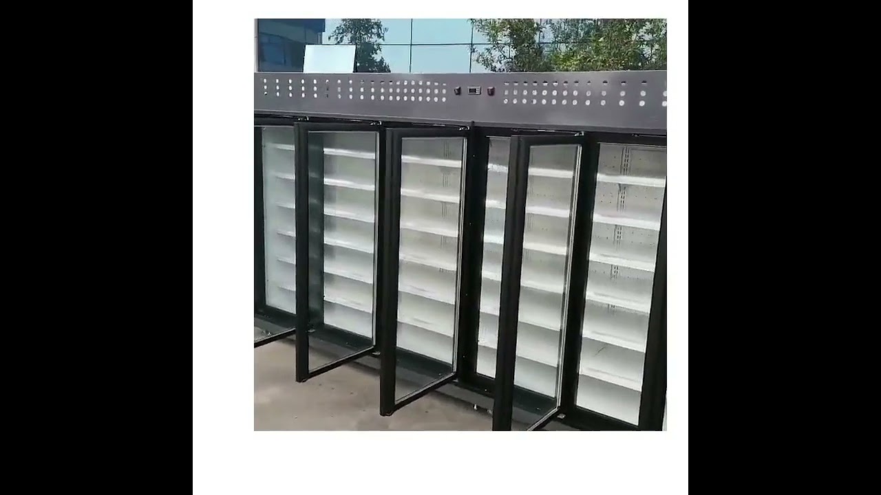 Professional Vertical Chiller/Freezer with glass doors manufacturers