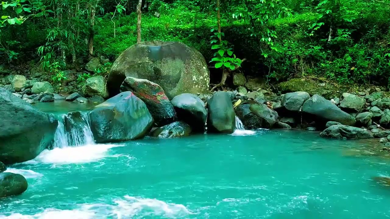 Calming Forest Ambience - River Flowing in Hidden Forest Ambience for Rest, Medicine