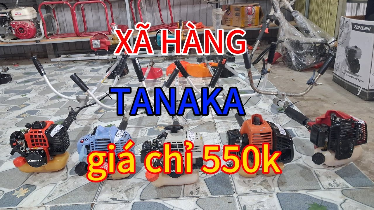 Ngày 7/2 máy cắt cỏ 