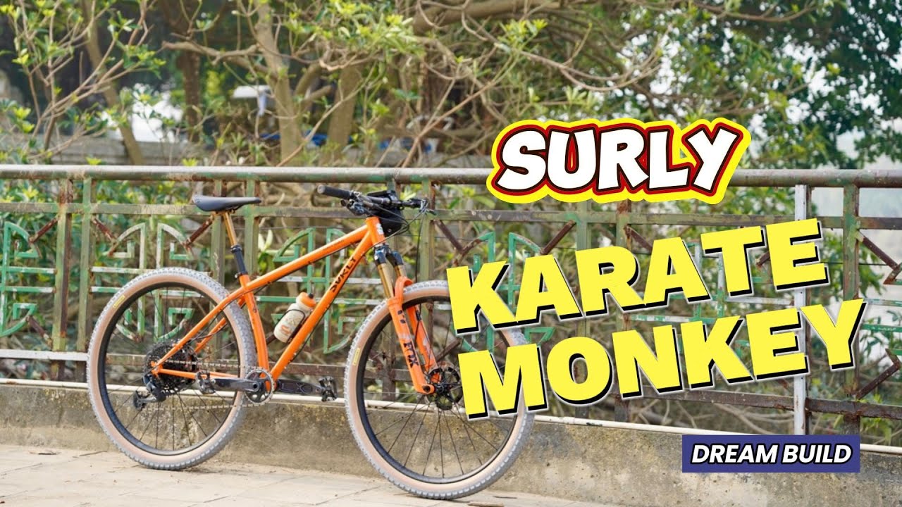 Dream Build - Surly Karate Monkey
