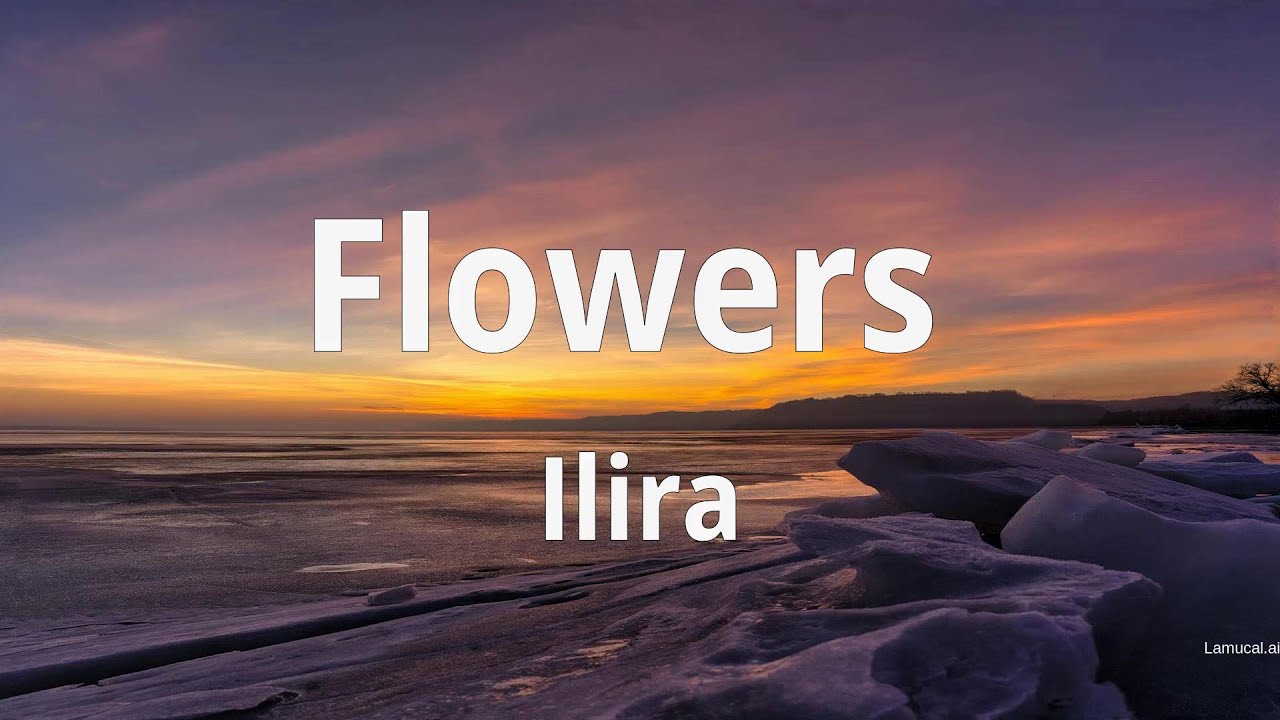 ILIRA - Flowers [Real-Time Lyrics Video]