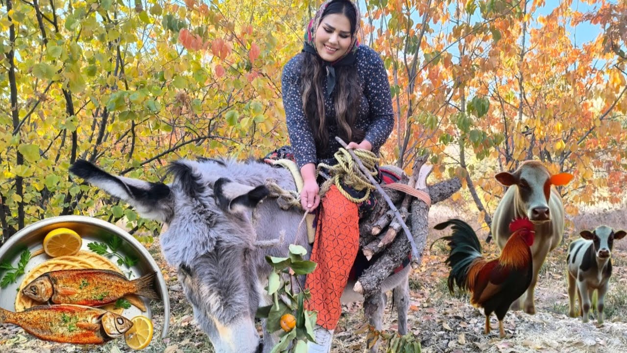 village life in Iran:  donkey riding by Sahar and how to cook fish