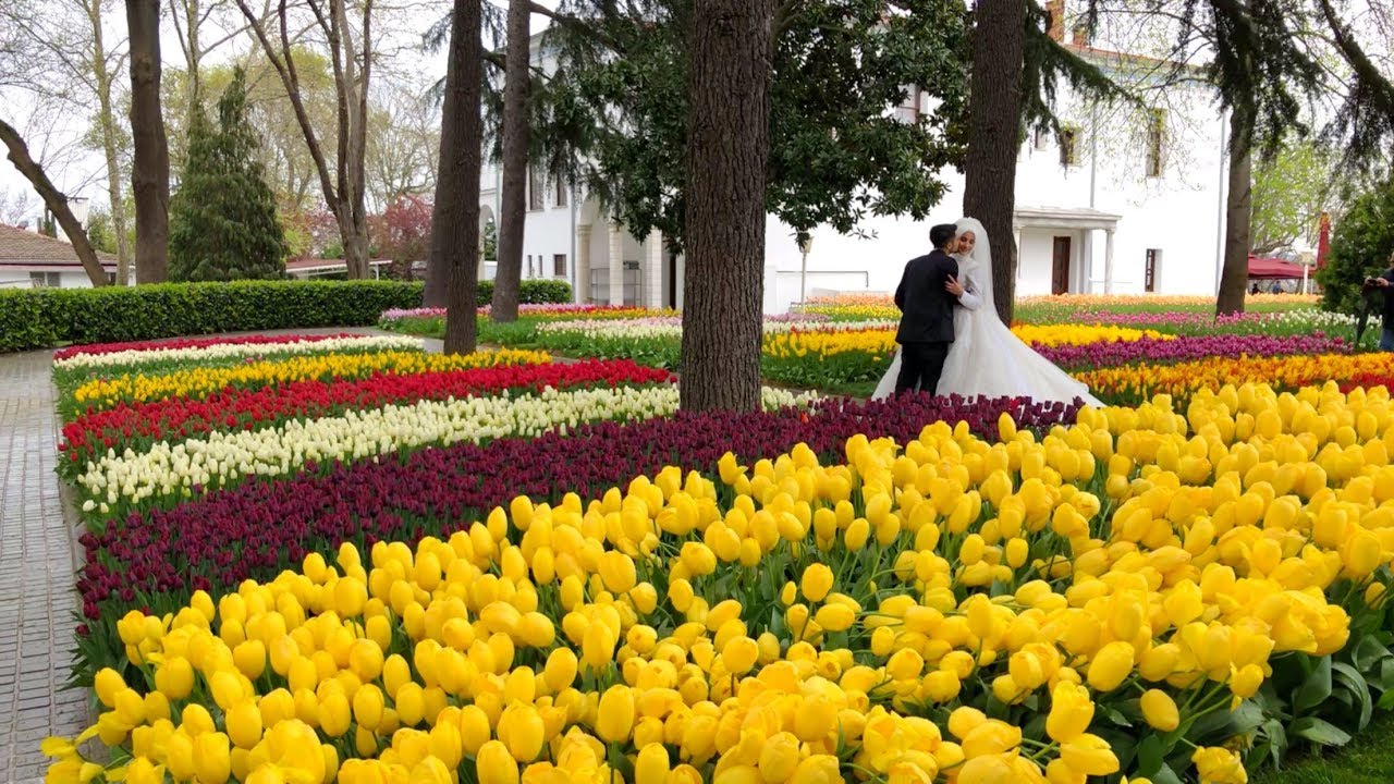 Walk in Emirgan Korusu Park, Sarıyer Istanbul
