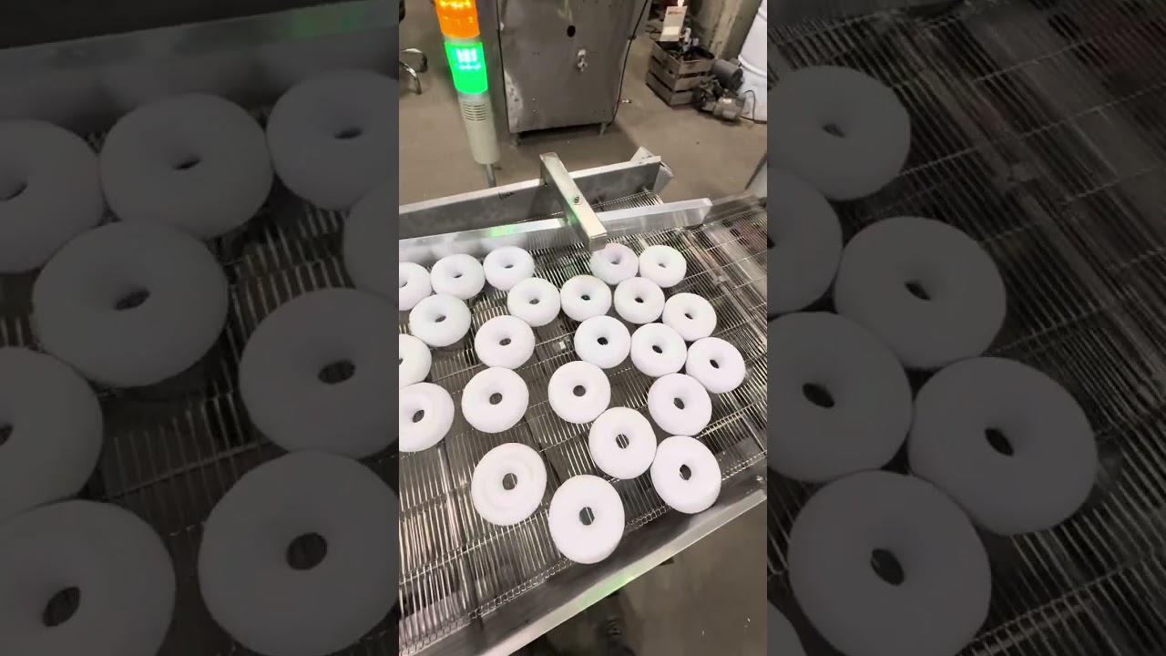 Donut Conveyor System, Custom, by DBE