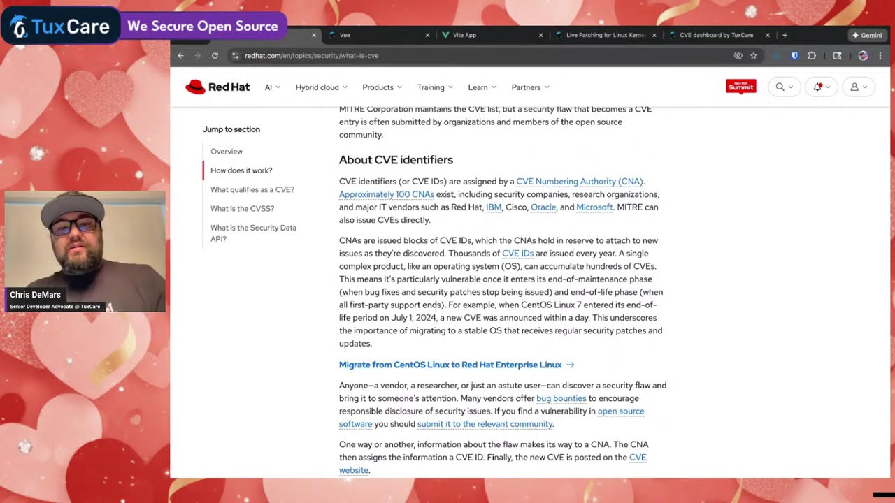 CVEs and patching your project with TuxCare!